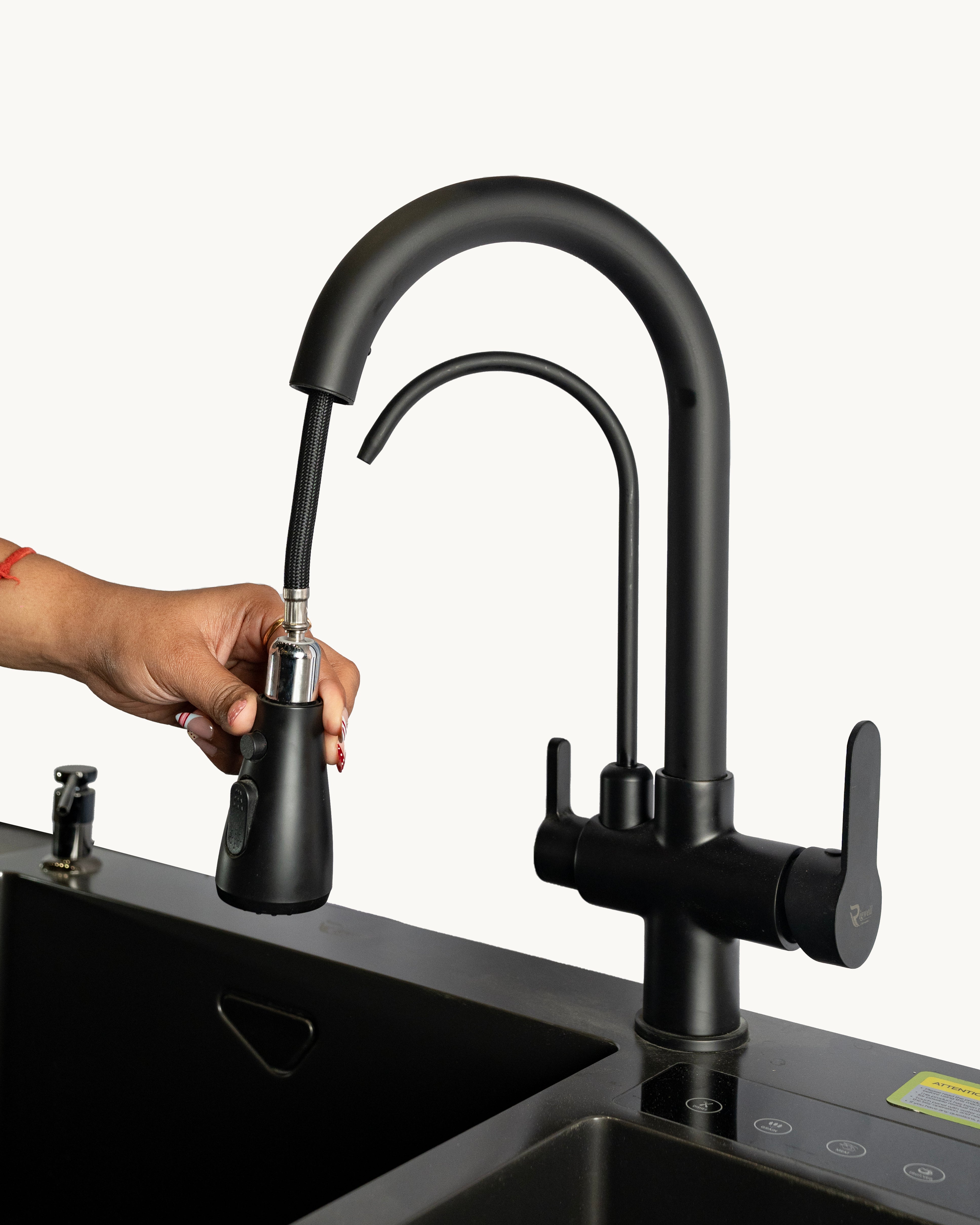 Rigwell Pullout Faucet with In-Built RO Tap